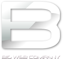 Big Web Company - The london business website design company